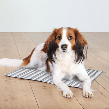 Trixie Kühlmatte - Weiß/Grau