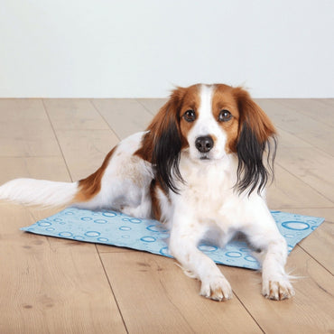 Trixie Kühlmatte - Hellblau