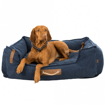 Dunkelblaues Hundebett in Wildleder-Optik, mit braunen Details, und einem aufgenähten Anker auf der Liegefläche, ein Viszla liegt auf dem bett