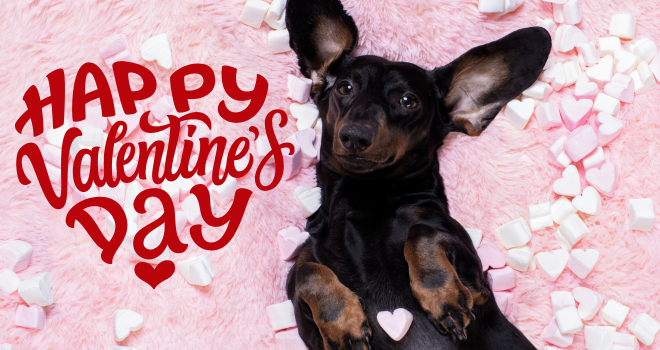 Valentinstag