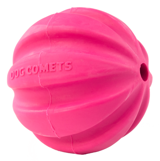 Dog Comets Ball Halley