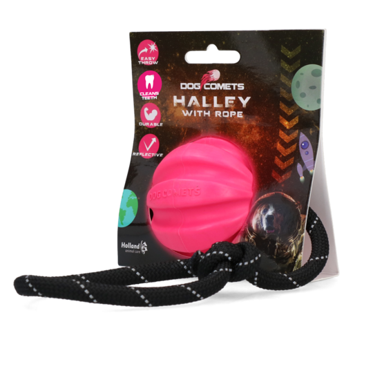 Dog Comets Ball Halley