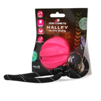 Dog Comets Ball Halley
