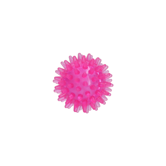 Dog Comets Spielball Exoplanet Pink