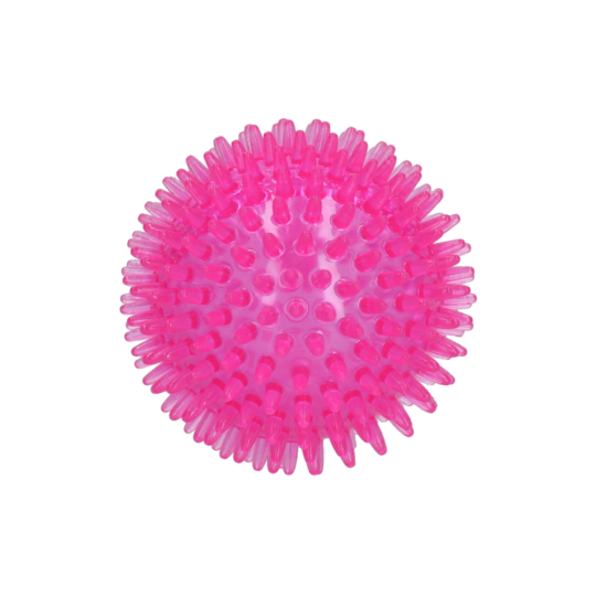 Dog Comets Spielball Exoplanet Pink