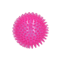 Dog Comets Spielball Exoplanet Pink