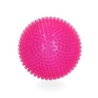 Dog Comets Spielball Exoplanet Pink