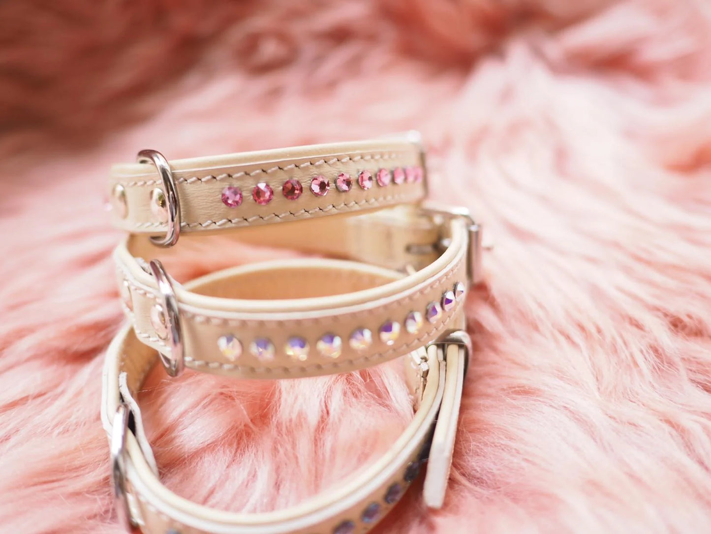 Cooper Ocean Blue Halsband